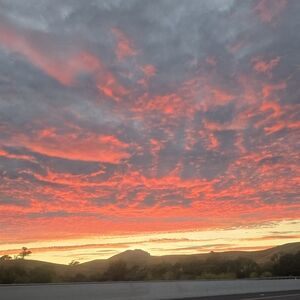 Meet your Posher, Tasha